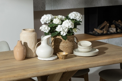 Flynn Natural Oak 240cm Dining Table Set Inc 220cm Bench & 4 Spencer Chairs Flynn Natural Oak 240cm Dining Table Set Inc 220cm Bench & 4 Spencer Chairs