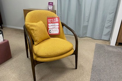 Ex-Display St Austell - Gallery Direct Alegra Arm Chair Ex-Display St Austell - Gallery Direct Alegra Arm Chair