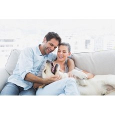 Staingard Upholstery Fabric Care Kit Staingard Upholstery Fabric Care Kit