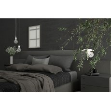 Staingard Bed Care Kit Staingard Bed Care Kit