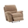 carlton recliner chair